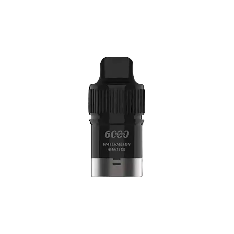 IGET Bar Plus black silver vape cartridge with watermelon mint ice 600 puffs